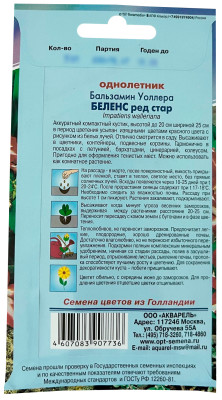 Бальзамин Беленс ред стар