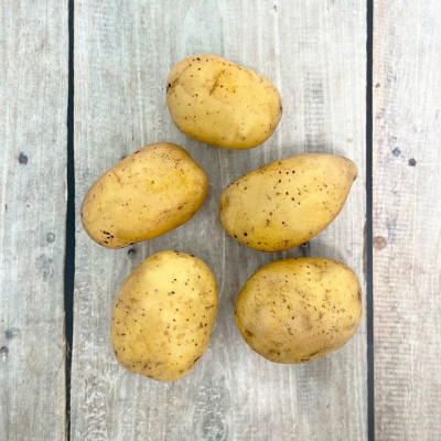 Картофель семенной Лисана (Lisana)