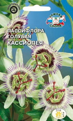 Пассифлора Кассиопея