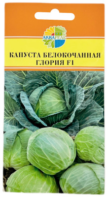 Капуста белокочанная ГЛОРИЯ F1 АКВАРЕЛЬ