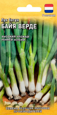 Лук батун БАЙЯ ВЕРДЕ ГАВРИШ Лук батун БАЙЯ ВЕРДЕ ГАВРИШ