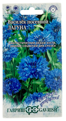 Василёк синий ЛАГУНА ГАВРИШ