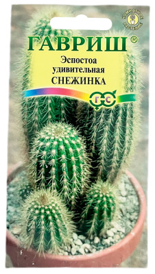 Эспостоа удивительная СНЕЖИНКА ГАВРИШ