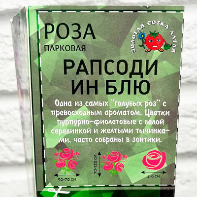 Роза парковая РАПСОДИ ИН БЛЮ описание