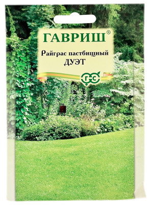 Райграс пастбищный Дуэт ГАВРИШ