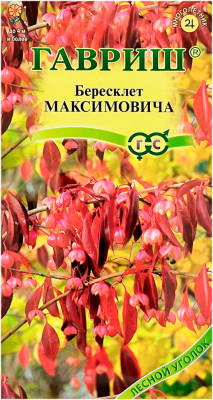 Бересклет МАКСИМОВИЧА ГАВРИШ