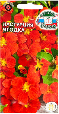 Настурция Ягодка низкорослая