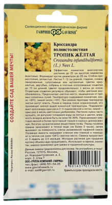 Кроссандра волнистолистная ТРОПИК ЖЕЛТАЯ ГАВРИШ описание