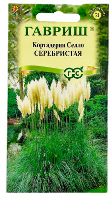 Кортадерия Селло (пампасная трава) СЕРЕБРИСТАЯ ГАВРИШ