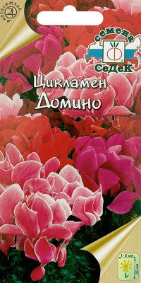 Цикламен персидский Домино, смесь СеДеК