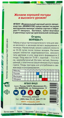 Огурец Мурава F1 ВНИИССОК описание