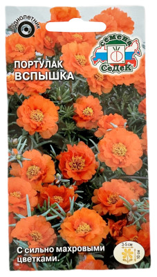 Портулак крупноцветкоый ВСПЫШКА СеДеК