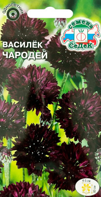 Василек Чародей черный