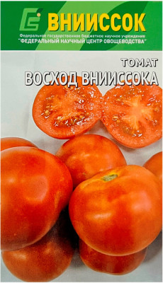 Томат Восход ВНИИССОК