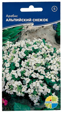 Арабис АЛЬПИЙСКИЙ СНЕЖОК АКВАРЕЛЬ