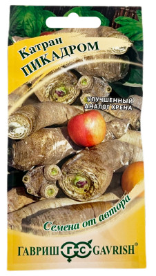 Катран татарский хрен ПИКАДРОМ ГАВРИШ