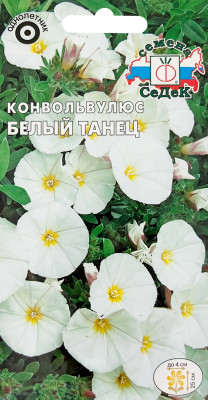 Конвольвулюс Белый Танец белый СеДеК