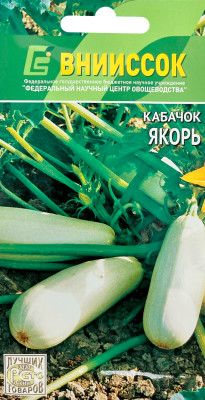 Кабачок белоплодный Якорь ВНИИССОК
