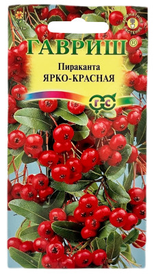 Пираканта ЯРКО КРАСНАЯ ГАВРИШ