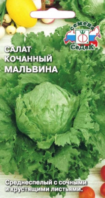 салат Мальвина (айсберг) (Евро, 0,5)