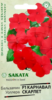 Бальзамин Карнавал Скарлет Уоллера F1 4шт сер. Элитная клумба