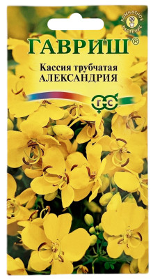 Кассия трубчатая АЛЕКСАНДРИЯ ГАВРИШ