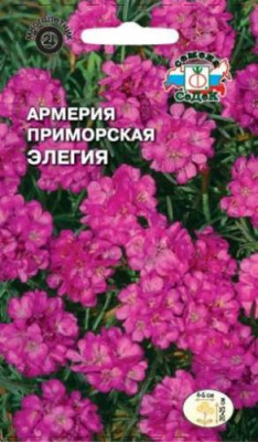 Армерия приморская Элегия (смесь) 0,1г