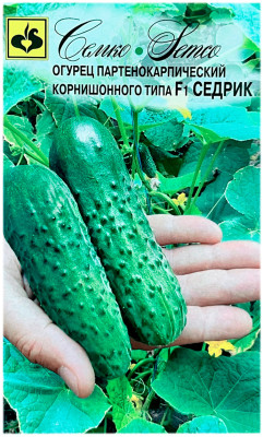 Огурец Седрик F1 СЕМКО