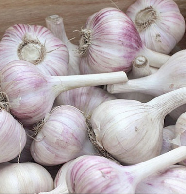 Чеснок головка Добрыня озимый (калибр 3) 1кг