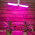 Лампа для растений Био P65-16W-Е27 UNIEL LED-P65-16W/SPSB/E27/FR/P2 PLP32WH