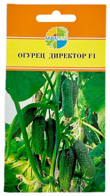 Огурец ДИРЕКТОР F1 АКВАРЕЛЬ