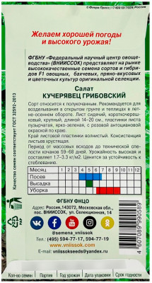 Салат КУЧЕРЯВЕЦ ГРИБОВСКИЙ ВНИИССОК описание