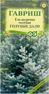 Ель колючая, голубая ГОЛУБЫЕ ДАЛИ ГАВРИШ
