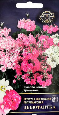 Примула Дебютантка F1 (полумахровая смесь)