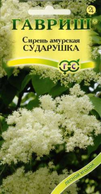Сирень амурская Сударушка*  0,1 г