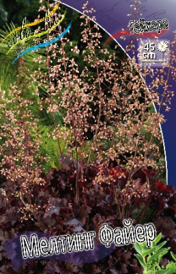 Гейхера Мелтинг Файер (1шт) 4646