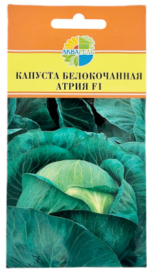 Капуста белокочанная АТРИЯ F1 АКВАРЕЛЬ