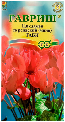 Цикламен персидский Габи ГАВРИШ