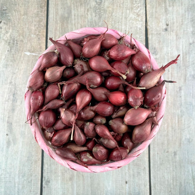 лук Севок Кармен 15-22 Чувашия