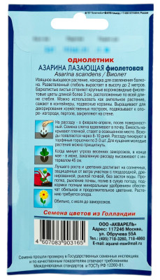 Азарина Лазающая фиолетовая (виолет) АКВАРЕЛЬ описание