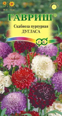 Скабиоза пурпурная Дугласа махр. смесь 0,2г