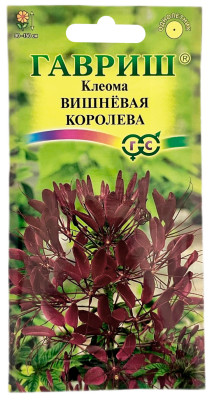 Клеома Вишневая королева ГАВРИШ