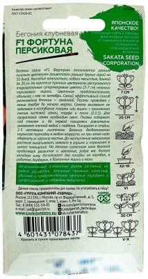 Бегония Фортуна Персиковая F1 гранул. 4шт. пробирка