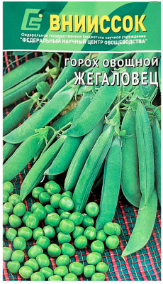 Горох ЖЕГАЛОВЕЦ ВНИИССОК