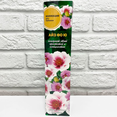 Роза бабилон АЙЗ ФО Ю