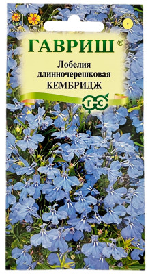 Лобелия длинночерешковая КЕМБРИДЖ ГАВРИШ