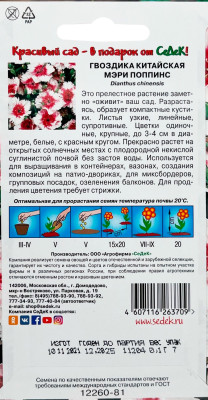 Гвоздика китайская Мэри Поппинс белая с красным цетром