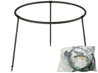 Кустодержатель Смородина