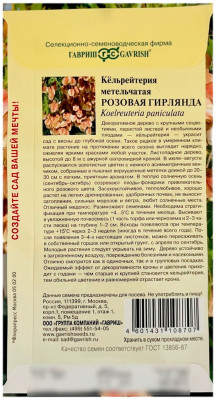 Кёльрейтерия метельчатая РОЗОВАЯ ГИРЛЯНДА ГАВРИШ описание