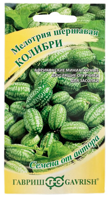 Мелотрия шершавая КОЛИБРИ ГАВРИШ